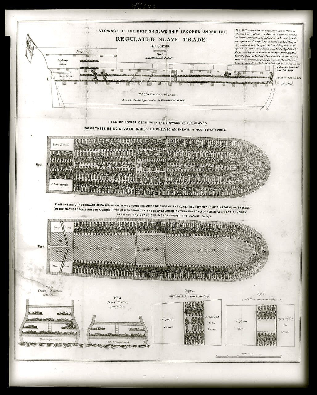 Diagram of the British slave ship Brookes showing the regulated stowage of 292 enslaved Africans under the Regulated Slave Trade Act of 1788